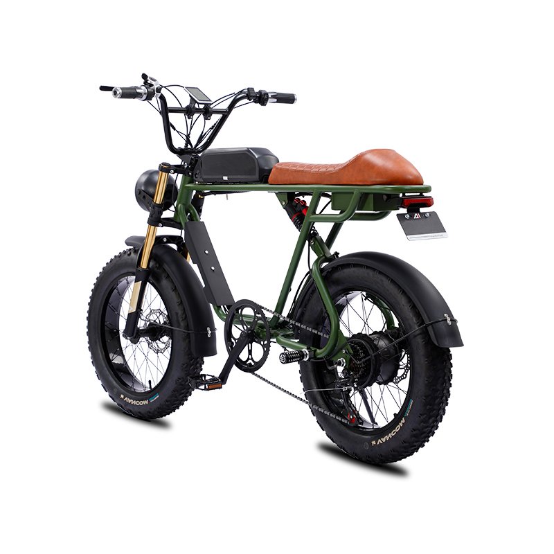 20 inch Snow Tire Electric Bicycle 7 Speed 500W/750W/1500W 48V Dual Battery Fat Tire Electric Mountain Bike