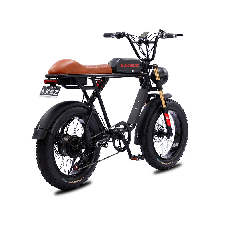 20 inch Snow Tire Electric Bicycle 7 Speed 500W/750W/1500W 48V Dual Battery Fat Tire Electric Mountain Bike