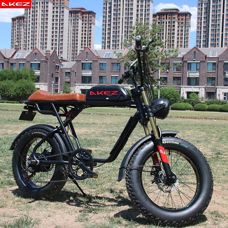 20 inch Snow Tire Electric Bicycle 7 Speed 500W/750W/1500W 48V Dual Battery Fat Tire Electric Mountain Bike
