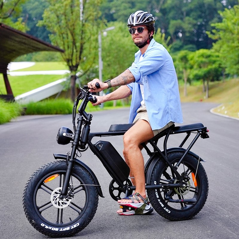 V8 e-bike Fat tyre electric bicycle 20inch 250W/500W/1000W electric bike best sale e bike high speed Mountain ebike V8 Fatbike