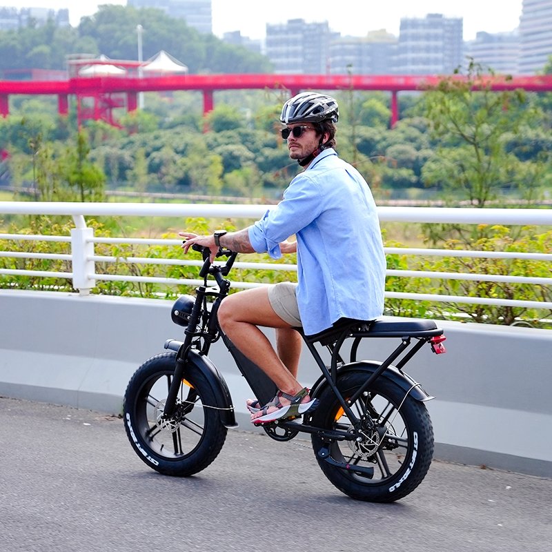 V8 e-bike Fat tyre electric bicycle 20inch 250W/500W/1000W electric bike best sale e bike high speed Mountain ebike V8 Fatbike