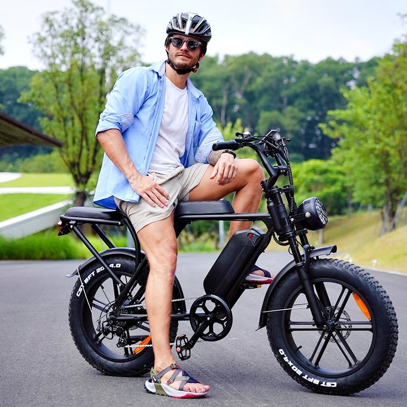 V8 e-bike Fat tyre electric bicycle 20inch 250W/500W/1000W electric bike best sale e bike high speed Mountain ebike V8 Fatbike