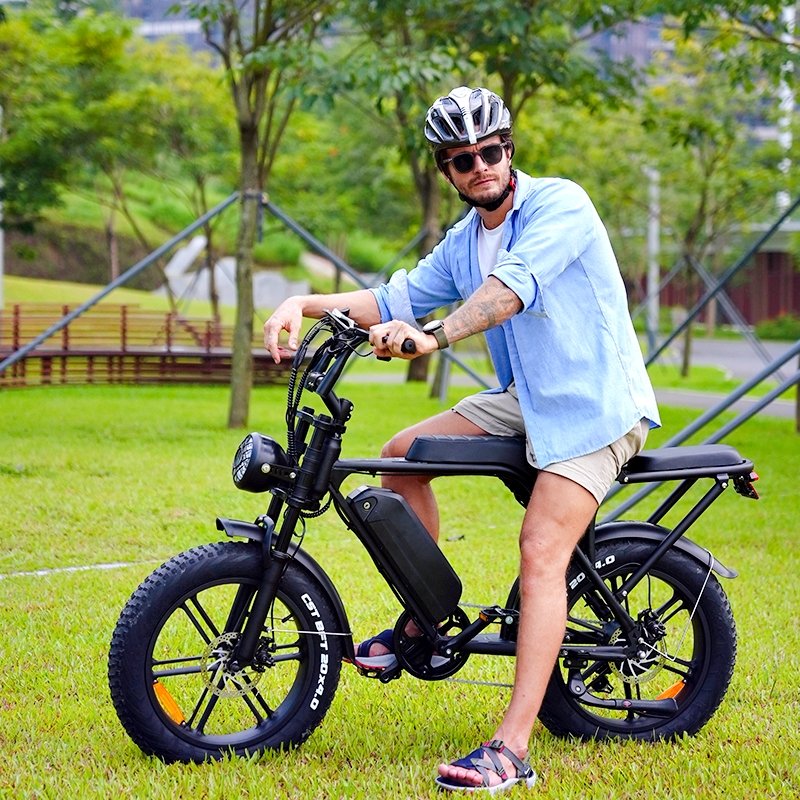 V8 e-bike Fat tyre electric bicycle 20inch 250W/500W/1000W electric bike best sale e bike high speed Mountain ebike V8 Fatbike