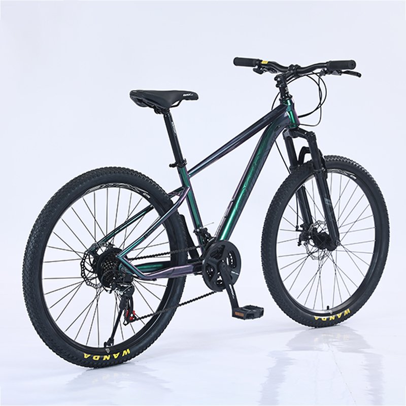 Mtbgoo  wholesale new design 21 speed steel bicicletas mountain bike 29 inch cycle for adult