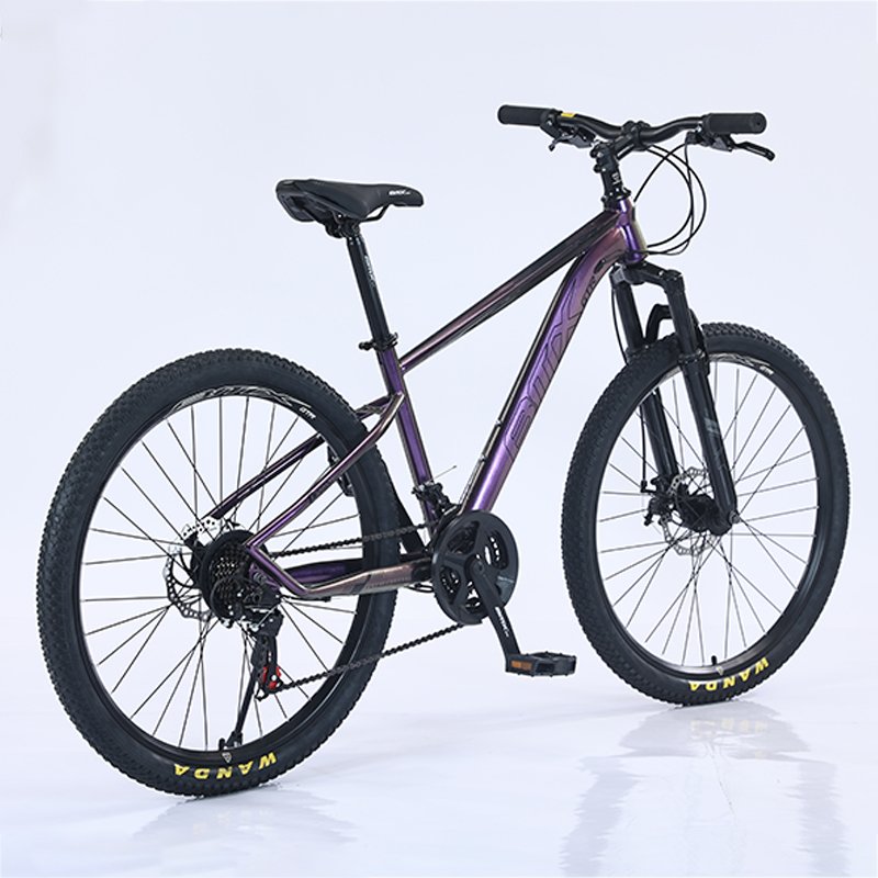 Mtbgoo  wholesale new design 21 speed steel bicicletas mountain bike 29 inch cycle for adult