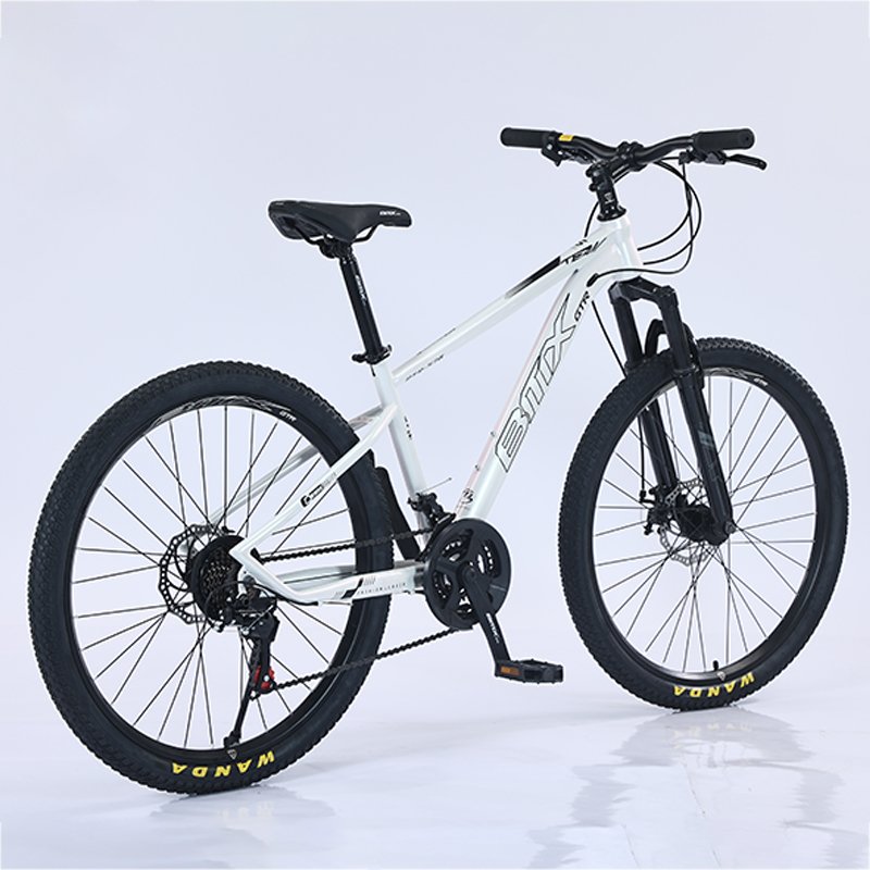 Mtbgoo  wholesale new design 21 speed steel bicicletas mountain bike 29 inch cycle for adult