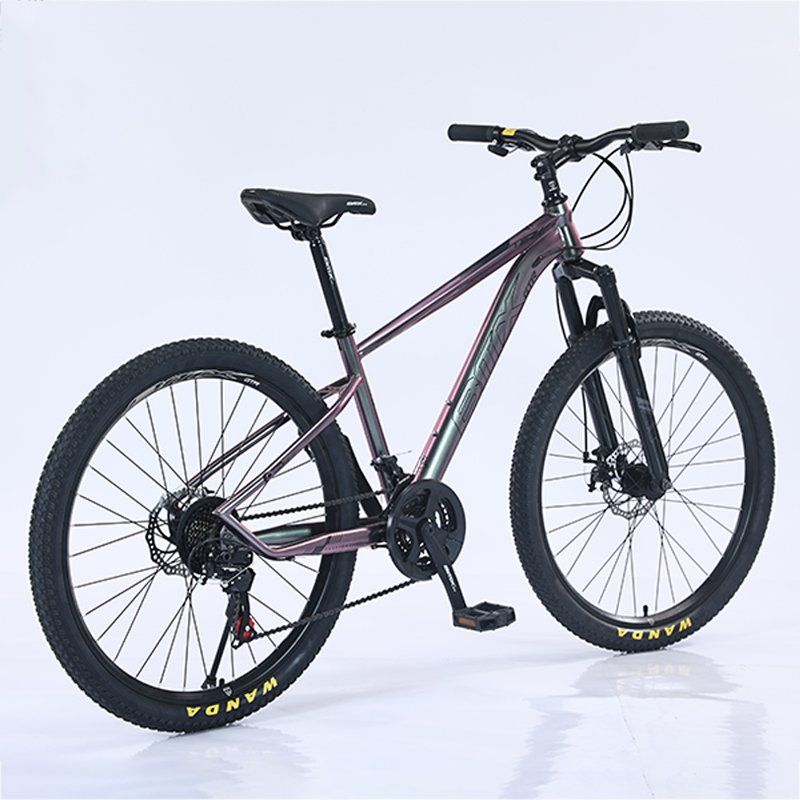 Mtbgoo  wholesale new design 21 speed steel bicicletas mountain bike 29 inch cycle for adult