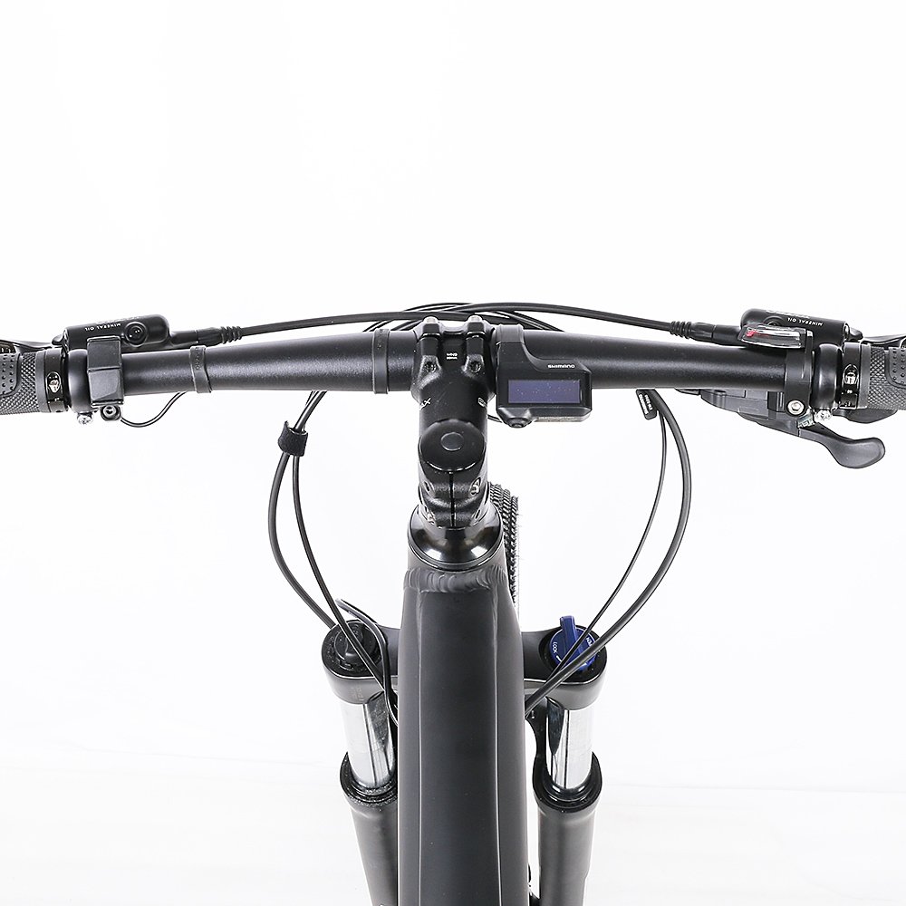 2024 mid drive electric mountain bike/ full suspension mountain electric bicycle MTB 26inch e bike dual electric bicycle