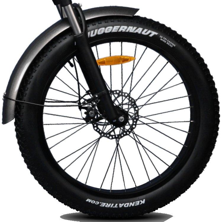 Beach Cruiser E Bike Fat Tire Electric Mountain Bike