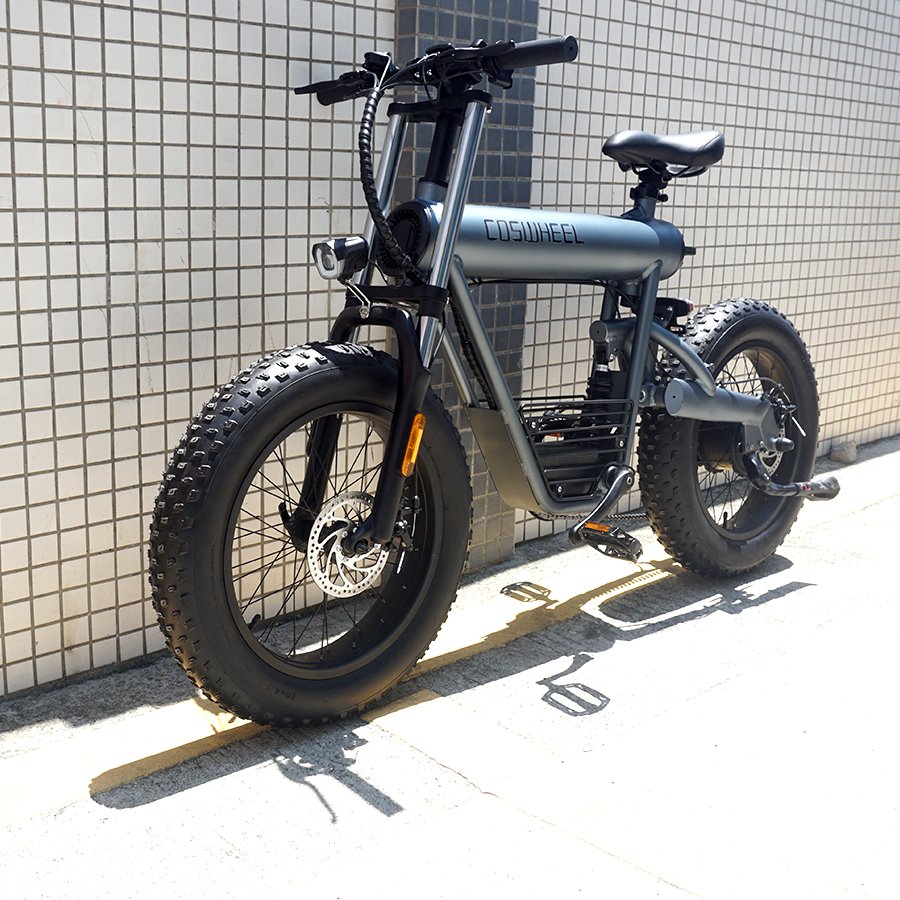 2021 UK EU US 48V 7 Speed Coswheel Dirt Electric bikes Adults Electric Bicycle Wholesale Fat Tire City E Bike