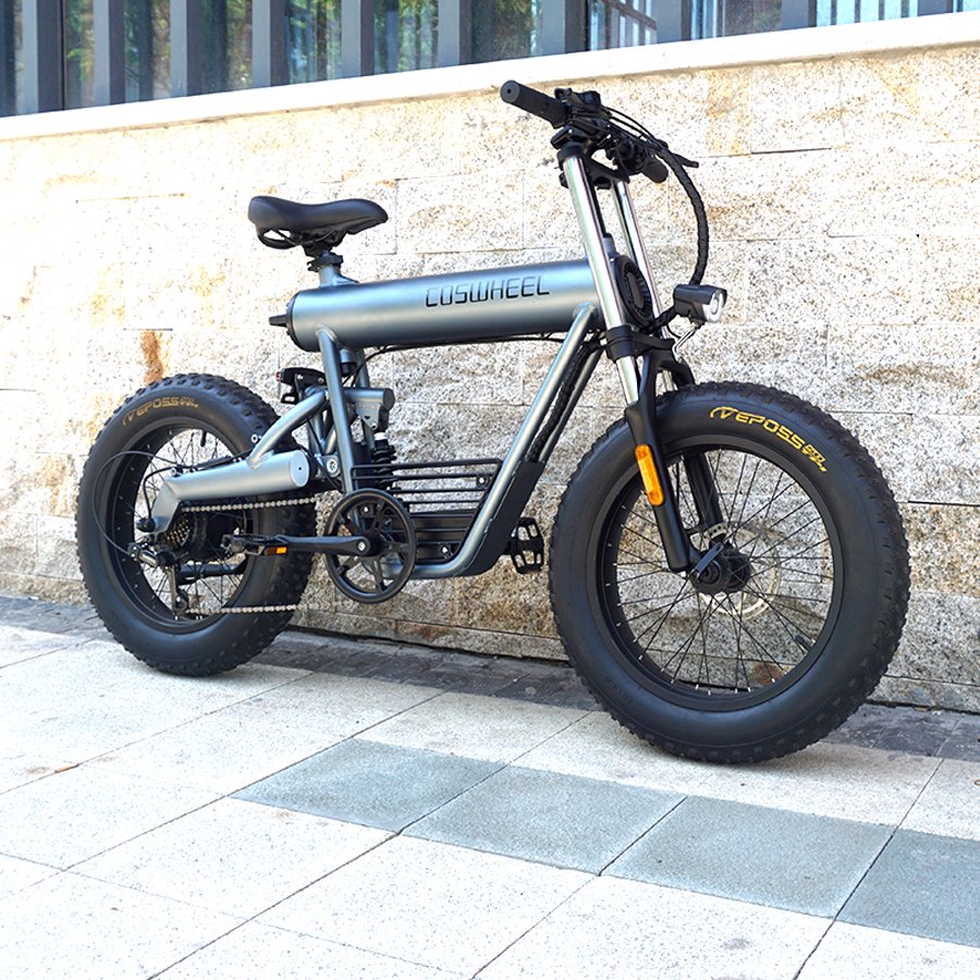 2021 UK EU US 48V 7 Speed Coswheel Dirt Electric bikes Adults Electric Bicycle Wholesale Fat Tire City E Bike