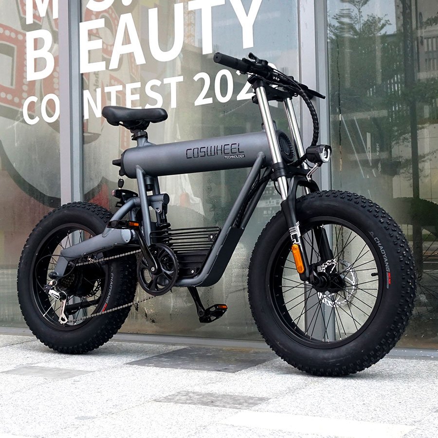 2021 UK EU US 48V 7 Speed Coswheel Dirt Electric bikes Adults Electric Bicycle Wholesale Fat Tire City E Bike
