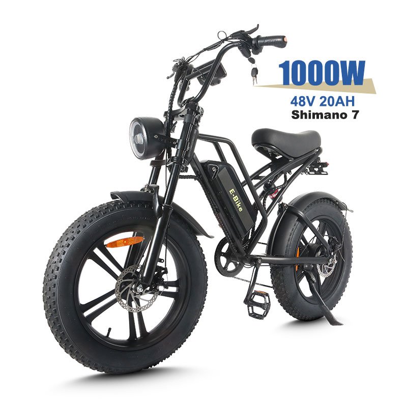 MZ-19 Wholesale 20 Inch Full Suspension 750W 1000W E Bike Mountain Road E-Bike Electric Fat Tire Bike For Adults