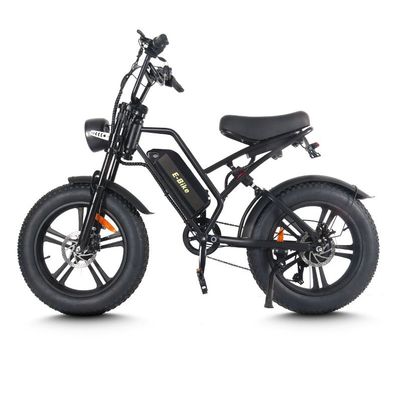 MZ-19 Wholesale 20 Inch Full Suspension 750W 1000W E Bike Mountain Road E-Bike Electric Fat Tire Bike For Adults