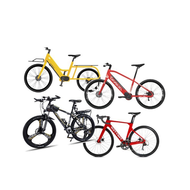 electric hybrid bike