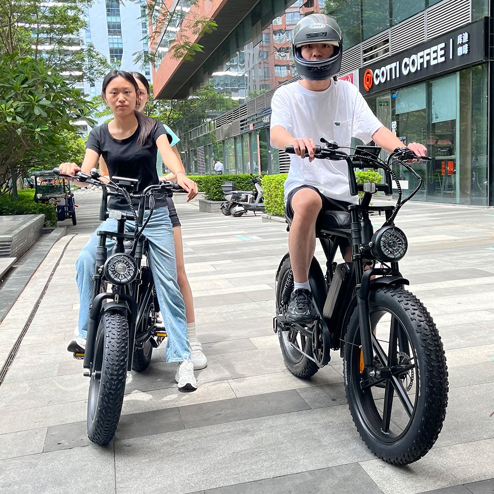 V8 Pro Plus Electric City Bike 750W/1000W down Tube Lithium Battery 20 Inch Electric Fat Tire Mountain Ebike