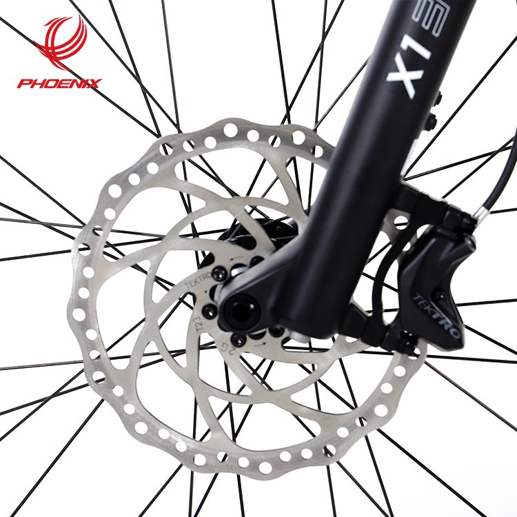 Phoenix Electric Mountain Bike Aluminum Alloy Carbon Fiber Lithium Electric Power Assisted Mountain Bike