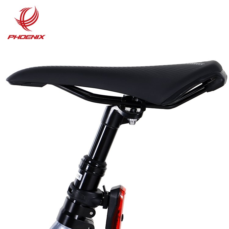 Phoenix Electric Mountain Bike Aluminum Alloy Carbon Fiber Lithium Electric Power Assisted Mountain Bike