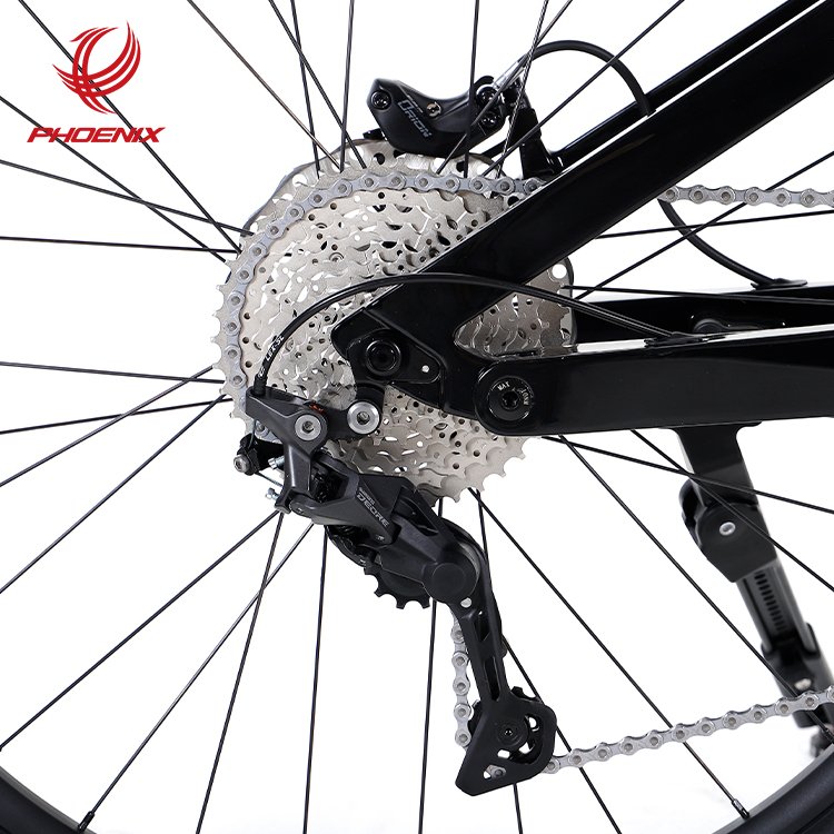 Phoenix Electric Mountain Bike Aluminum Alloy Carbon Fiber Lithium Electric Power Assisted Mountain Bike