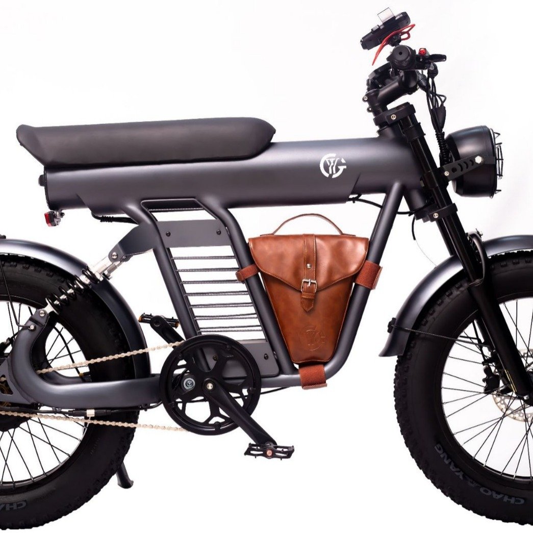 High Powered E Bike 48v 1200w Fat Tire Electric Mountain Bike For Beach Snow Off-road Adventures