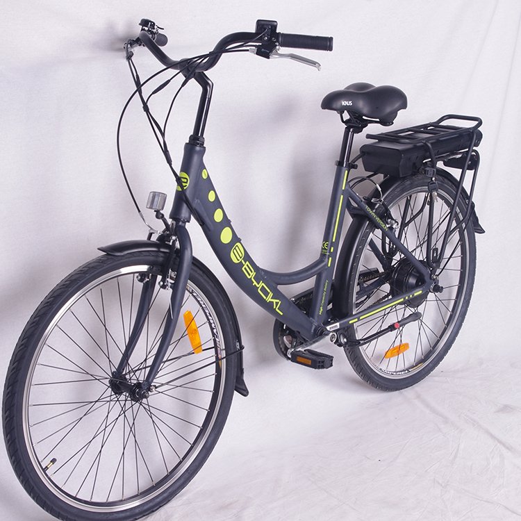 Chinese cheapest city style electric bikes for Italy and France