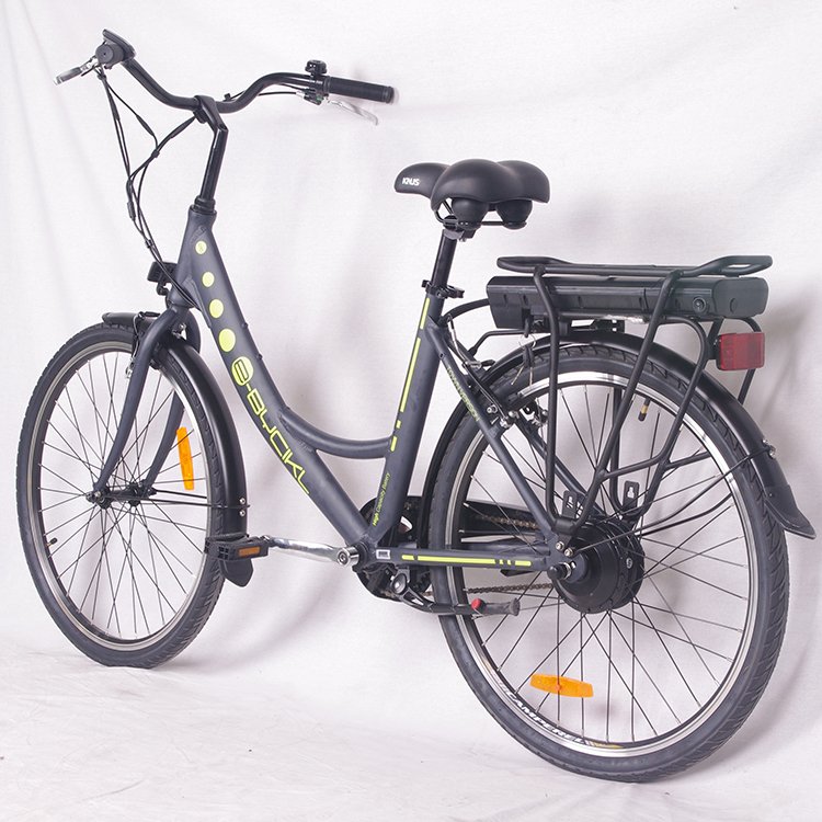 Chinese cheapest city style electric bikes for Italy and France