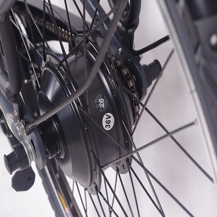 Chinese cheapest city style electric bikes for Italy and France