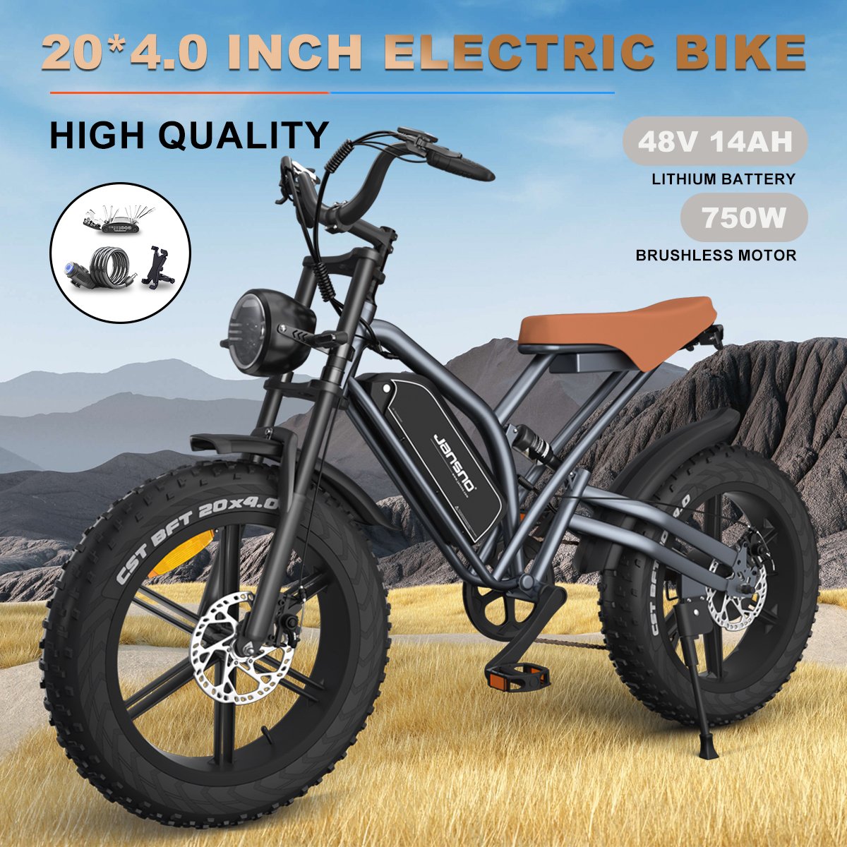 48V 750W pedal assist e power battery cycle 20MPH man electric mountain bike 750W adults ebike best electric bicycle for sale