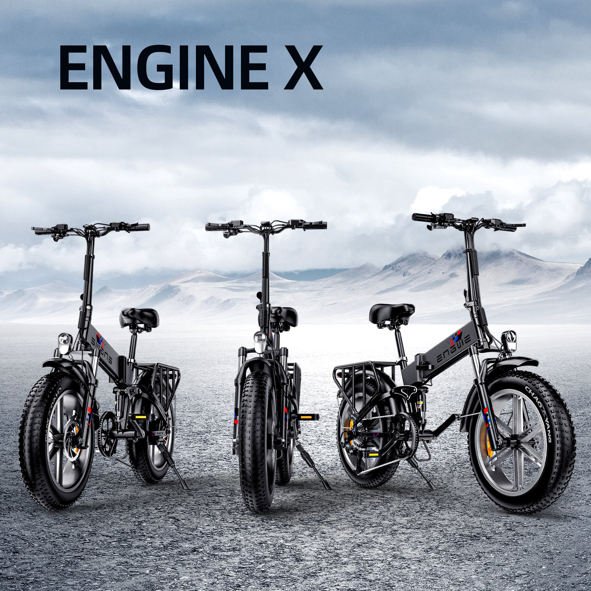 customize ENGINE X ODM/OEM ENGWE Bike 48V13A electric Bicycle 250-750W Mountain Fat tire electric Bike