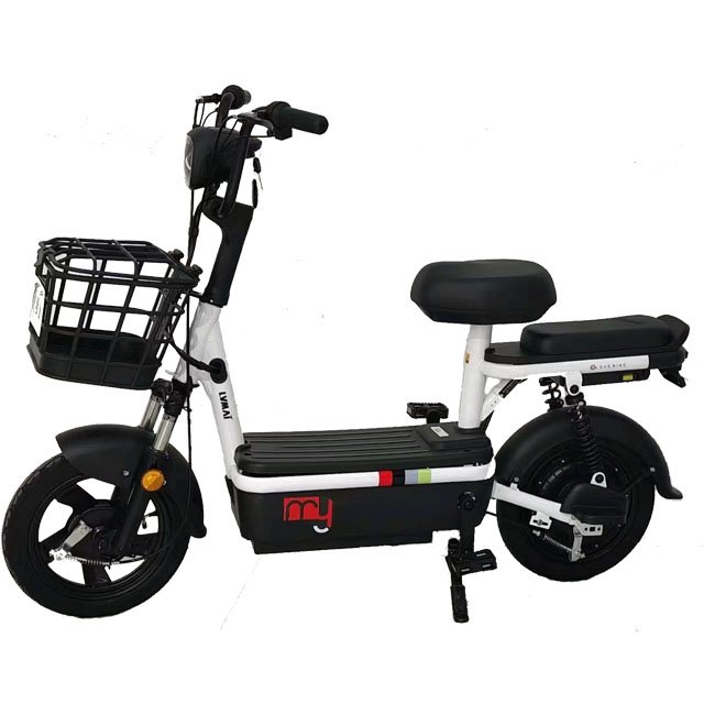 14inch fashion double electric bicycle factory direct sales electric scooter 48V 350W power electric city bike