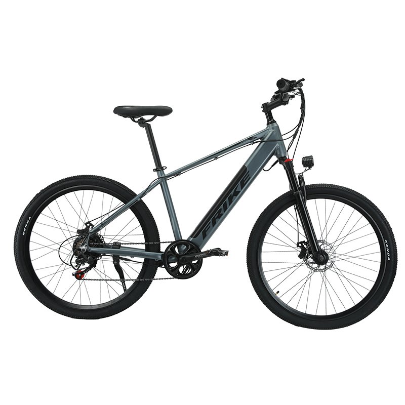 2024 Factory New FRIKE Electric Bicycle Popular Electric Mountain Bike Built in Battery Electric Bicycle
