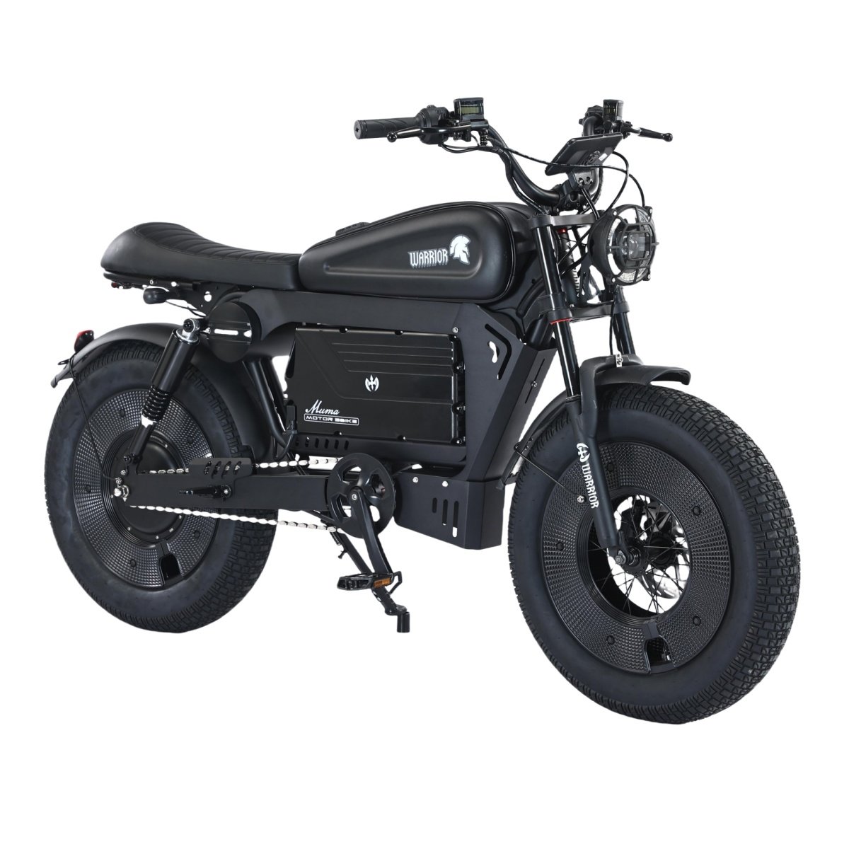 Customisable Logo 20-Inch Aluminum Alloy Electric Mountain Bike 1500W 48V Lithium Battery E-Bike 20-Inch Aluminum Mountain Bike