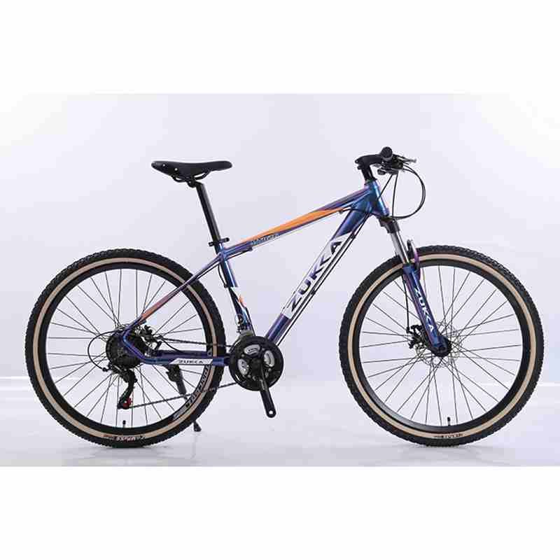 China Professional Manufacture Color To Order Frame Bicycle Mountain Bike