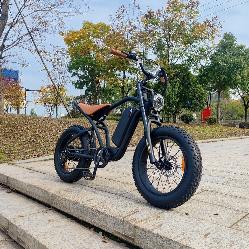 Hot Selling Electric Bicycle Fat Tire Ebike 750w Full Suspension Electric Bike Red Brand New Electric Bicycle Power Ebike