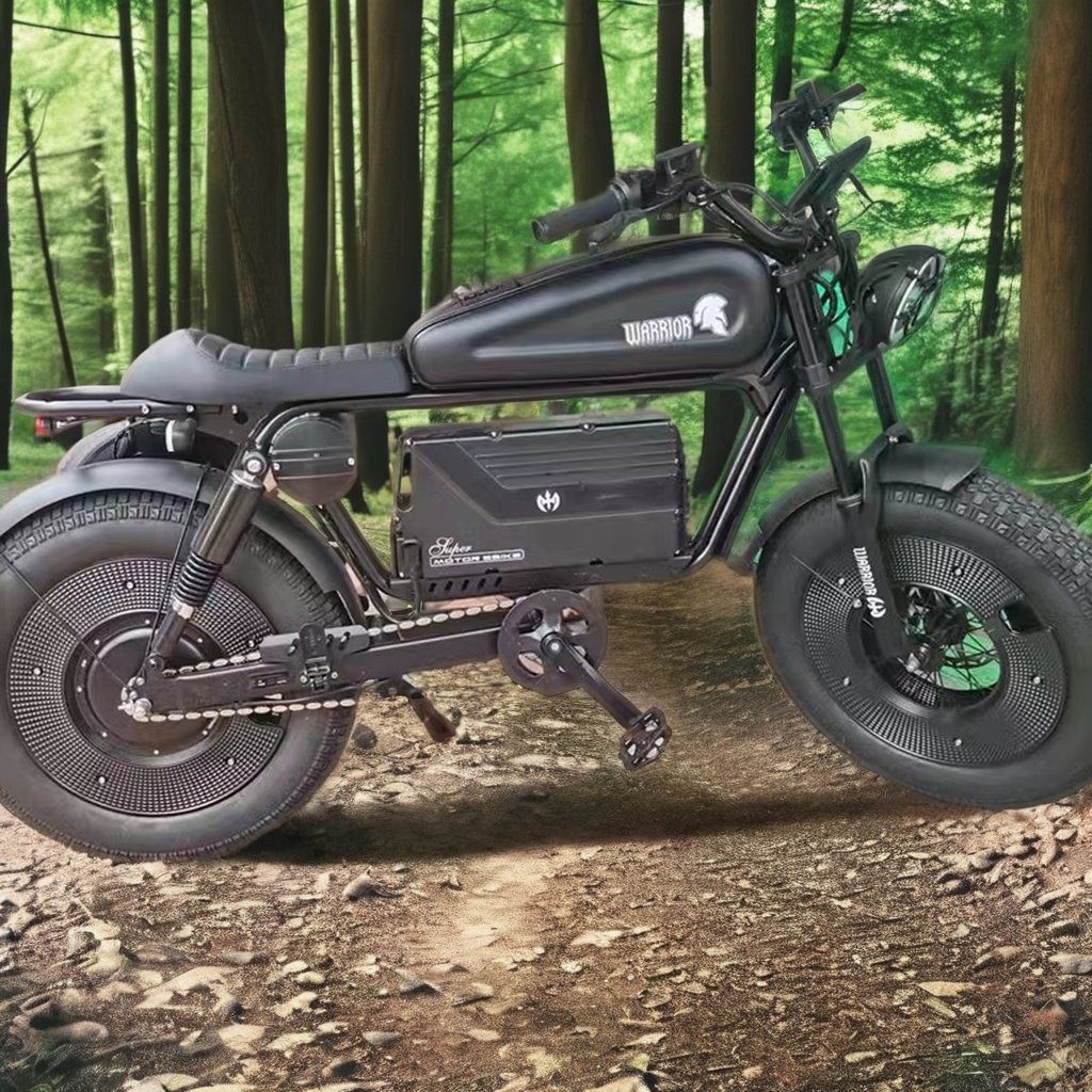 1500W/3000W 48V/60V 30AH45AH60AH Electric Bike Mountain Fat Tire E Bike With Full Suspension