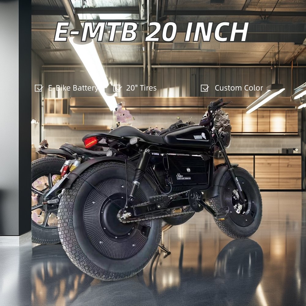 1500W/3000W 48V/60V 30AH45AH60AH Electric Bike Mountain Fat Tire E Bike With Full Suspension