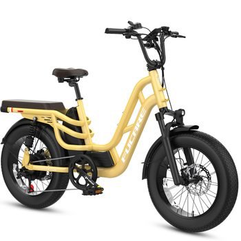OEM/ODM20" Electric Bike 750W Ebike Electric Mountain Bike 48V 20AH Battery Electric Bicycles For Adults