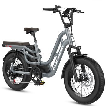 OEM/ODM20" Electric Bike 750W Ebike Electric Mountain Bike 48V 20AH Battery Electric Bicycles For Adults
