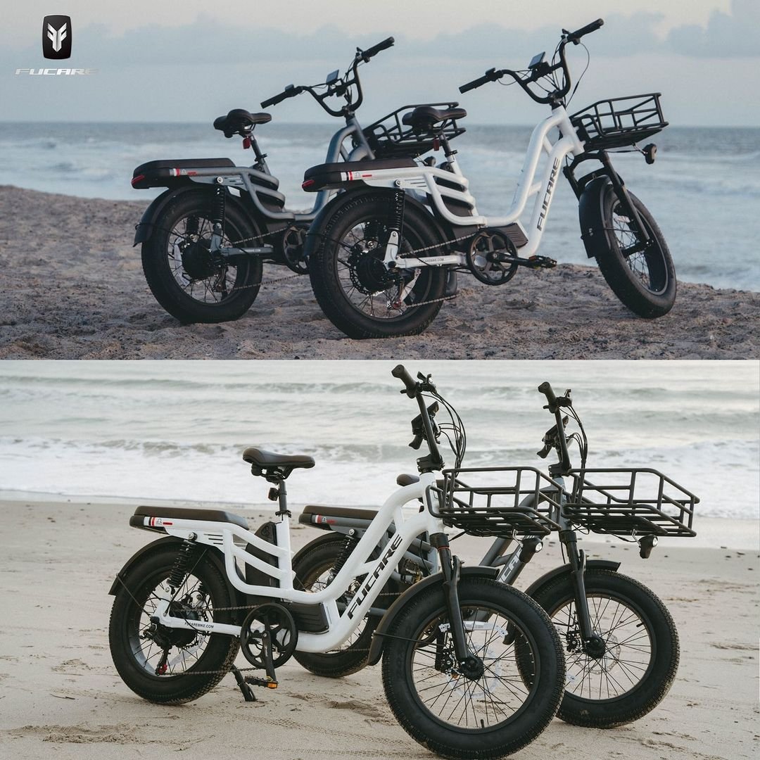 OEM/ODM20" Electric Bike 750W Ebike Electric Mountain Bike 48V 20AH Battery Electric Bicycles For Adults