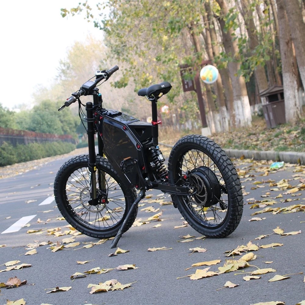 2019 electric bike 3000W/5000W Electric motorcycle mountain e-bike MF-S07