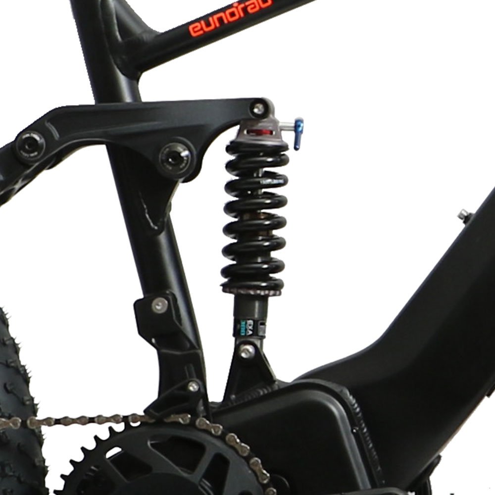 48V 1000W Bafang Motor FAT-HS Dual Battery Design All Terrain Fat Tire Electric Mountain Bike Full Suspension