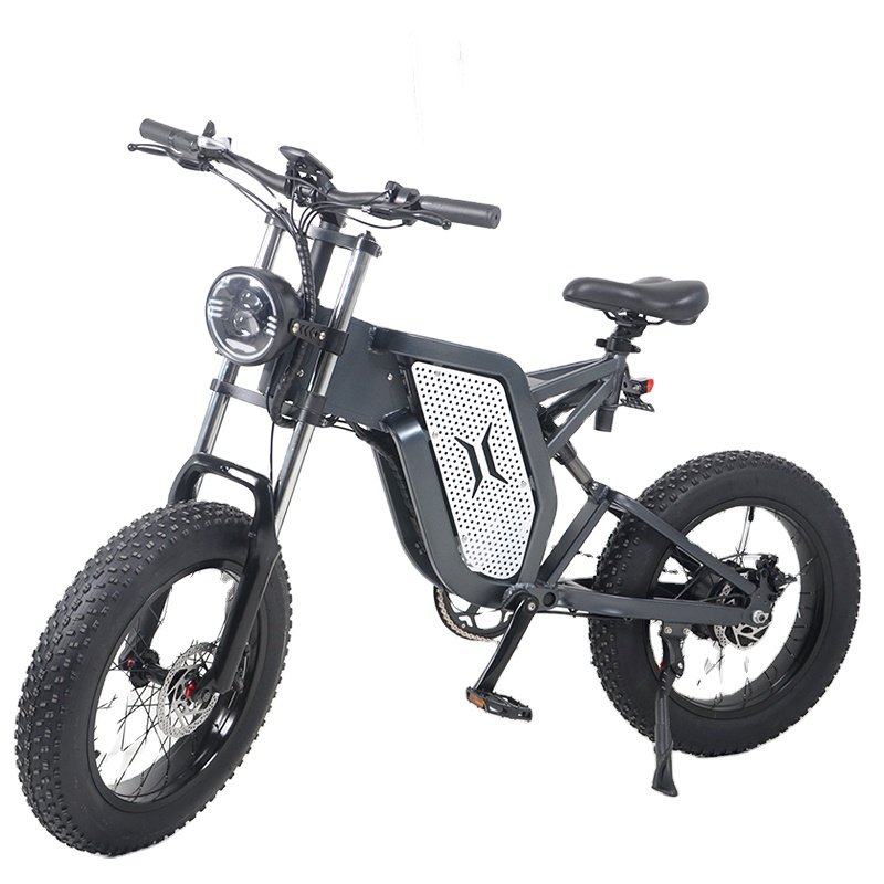 New ProductTwo Wheel Electric Mountain Bike Electric Snow Field Bike Escooter for Multiple Land electric electric dirt bike
