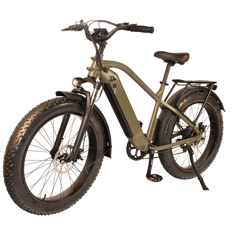 Raiderrover-34f Electric Mountain Bike Snow E-bicycle Long Warranty Electric Hybrid Bikeelectric Fat Tire Bike for Adults 48V