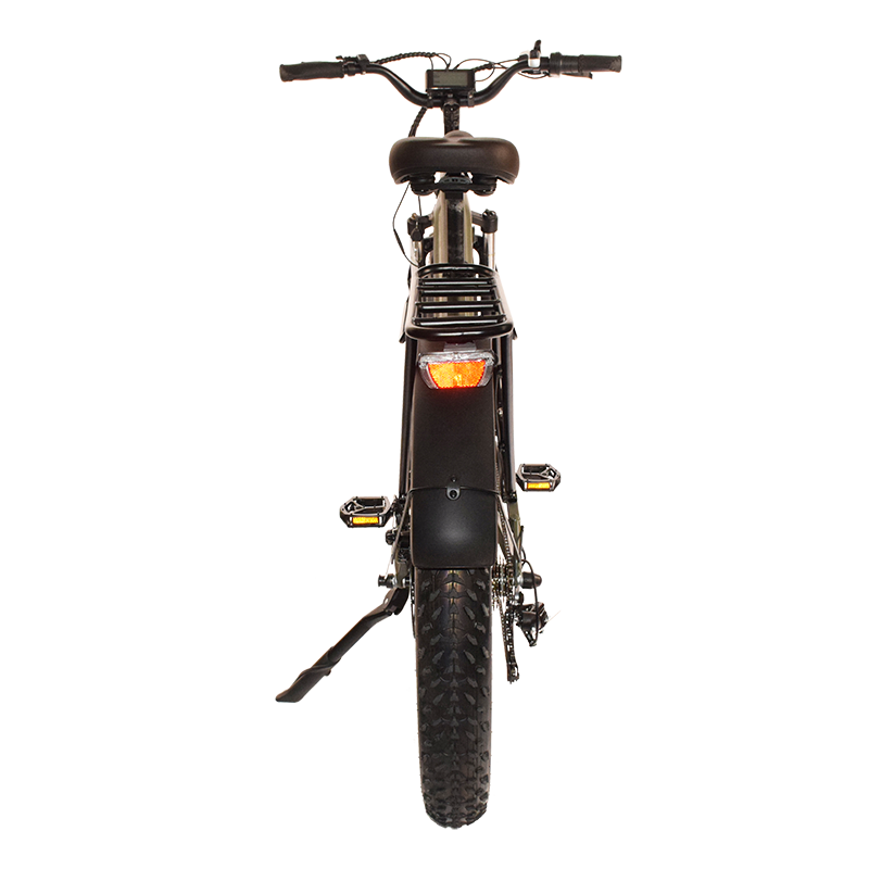 Raiderrover-34f Electric Mountain Bike Snow E-bicycle Long Warranty Electric Hybrid Bikeelectric Fat Tire Bike for Adults 48V