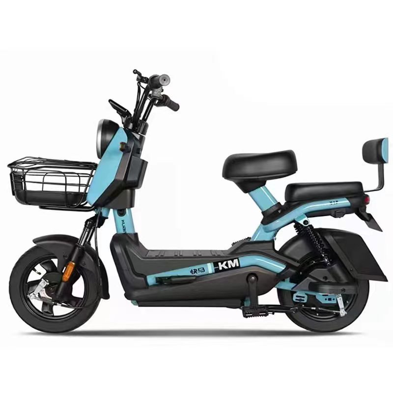 High Quality 3 Speed Adult Electric Bicycle 2-Seater Steel Frame E-Bike with Electronic Sensor for City Use Cheap Price!