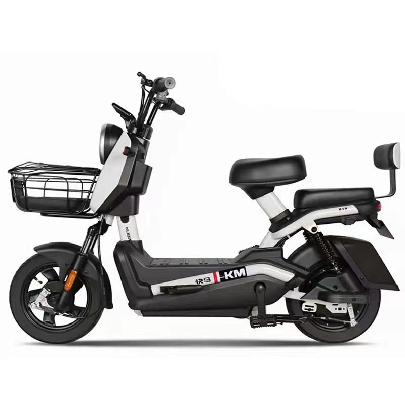 High Quality 3 Speed Adult Electric Bicycle 2-Seater Steel Frame E-Bike with Electronic Sensor for City Use Cheap Price!