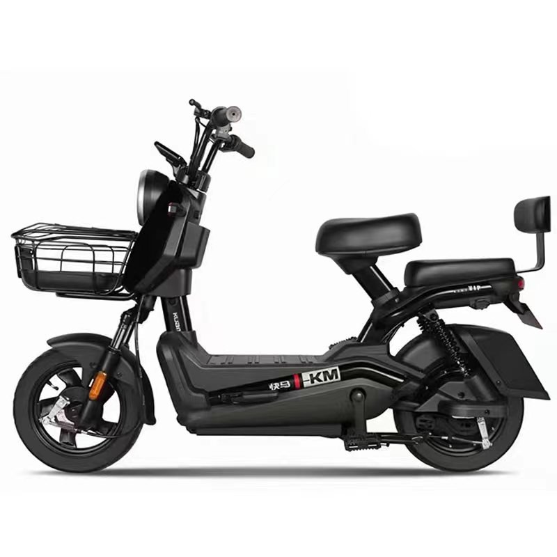 High Quality 3 Speed Adult Electric Bicycle 2-Seater Steel Frame E-Bike with Electronic Sensor for City Use Cheap Price!