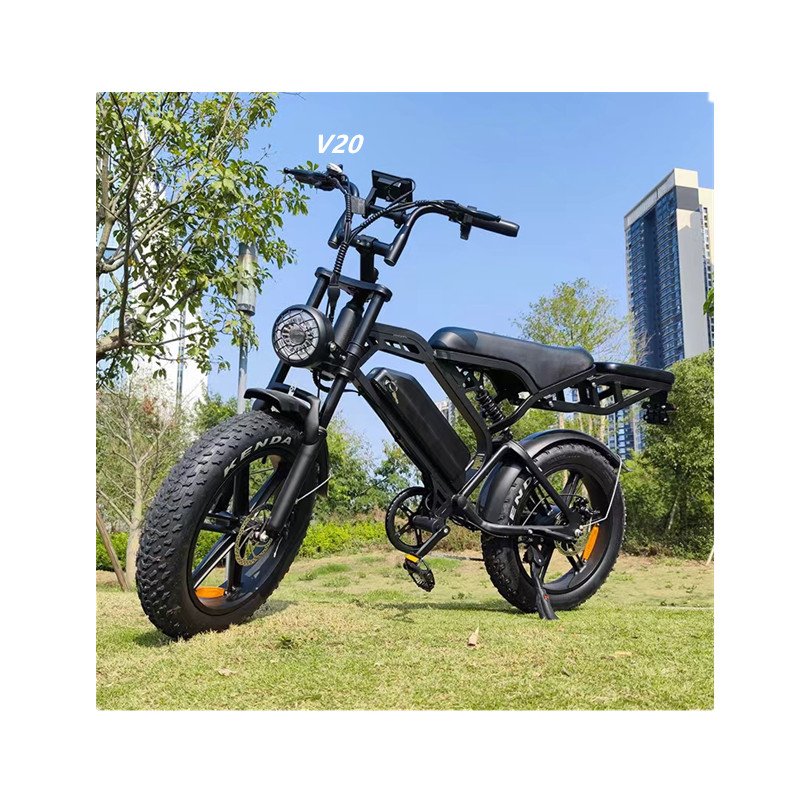 Dual Suspension 1000W Powerful Electric Bicycle 15ah 48v Mountain Fatbike 20 Inch Fat Tires Lithium Battery Power Electric Bike