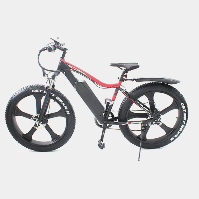 48V 1000W 750W Fly Electric Electric Bike Mountain Electric Bicycle