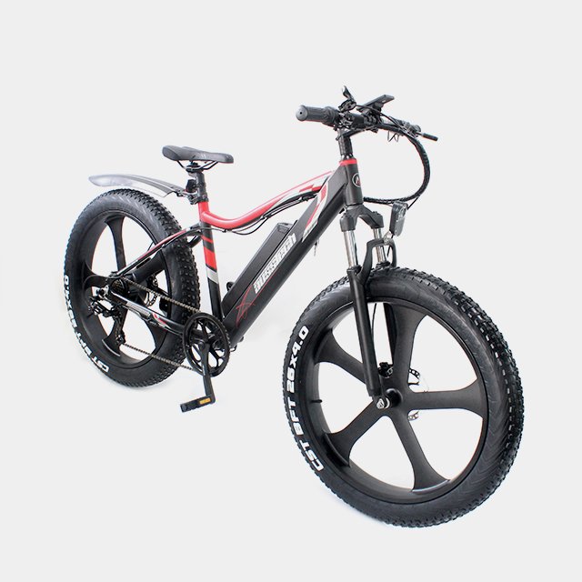 48V 1000W 750W Fly Electric Electric Bike Mountain Electric Bicycle